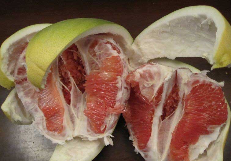 Pomelo