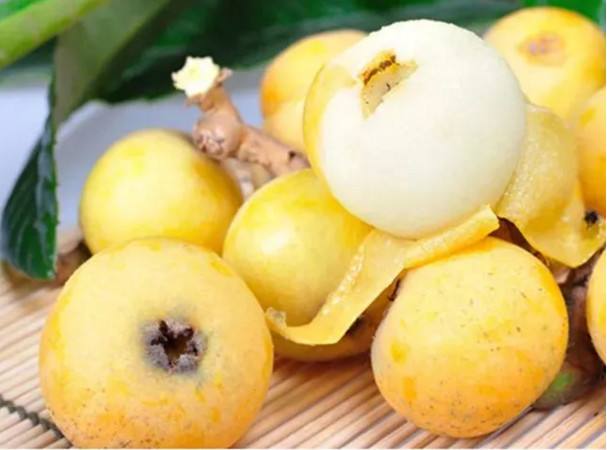 Loquat