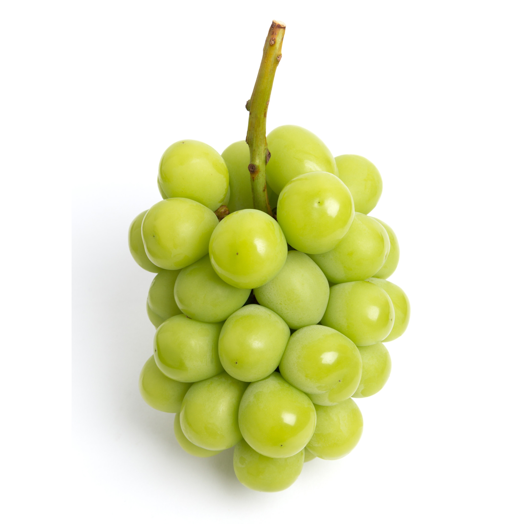 Grape