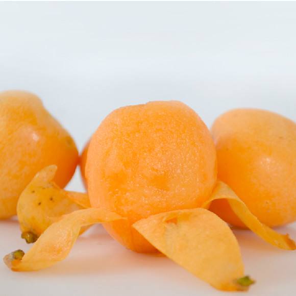 Loquat